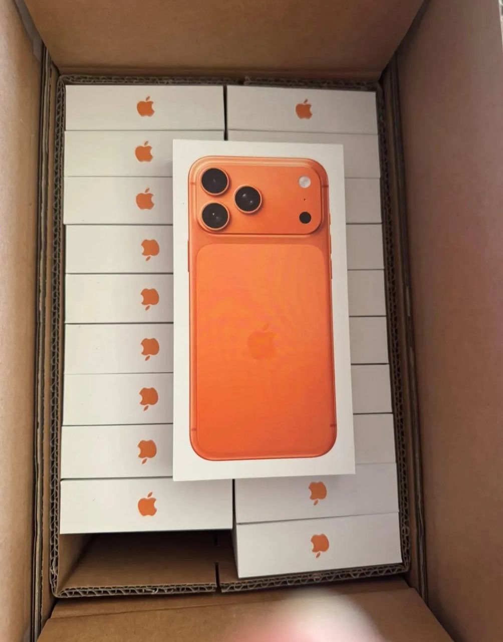 Braine-l'Alleud&nbsp;Lillois-Witterz�e&nbsp;Apple - iPhone&nbsp;Autre Mod�le&nbsp;Brandnew apple iphone 17 pro max