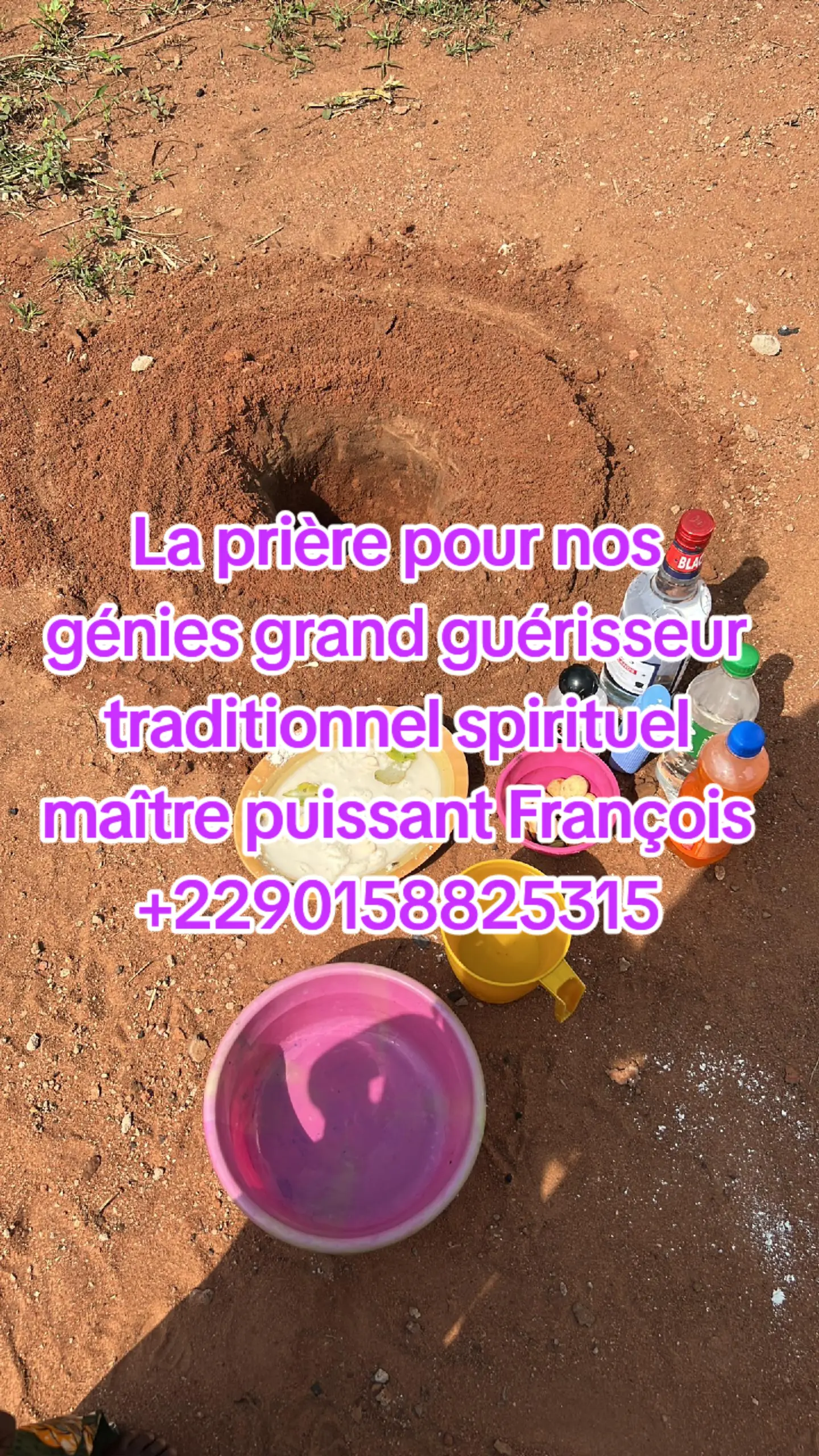 De Pinte&nbsp;Zevergem&nbsp;Autres meubles&nbsp;Autres&nbsp;Pour la vie humaine