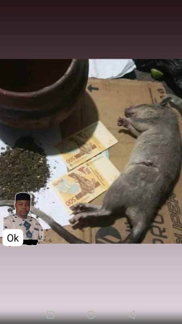 Avelgem&nbsp;Kerkhove&nbsp;Autre&nbsp;Autre&nbsp;Pour vos besoins de votre probl�me que vous avez